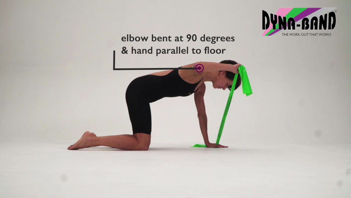 External rotation - 4pt kneeling